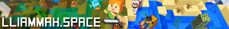 Minecraft Settlers